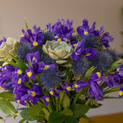 A stunning purple bouquet with vibrant blue irises, striking purple thistle, and a unique succulent arranged in a vase (unseen), standing upright in perfect form. The elegant mix of flowers creates a natural and sustainable display, ideal for brightening any space.