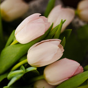Bouquet of tulips