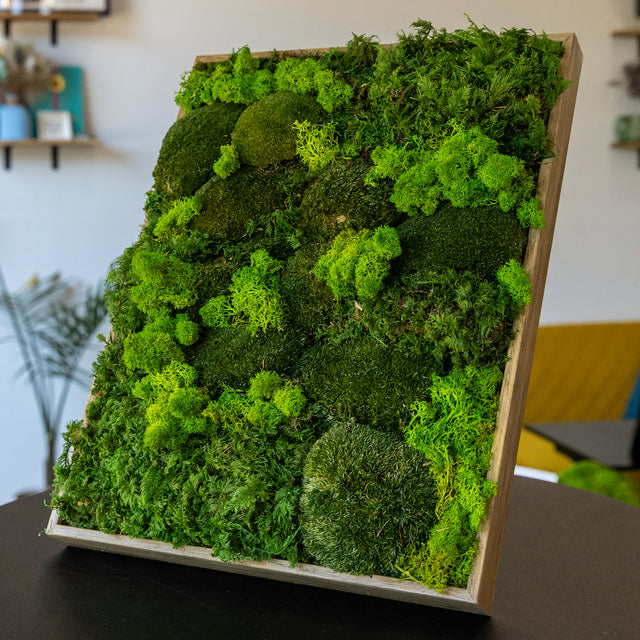 Everlasting Moss Picture 12x16