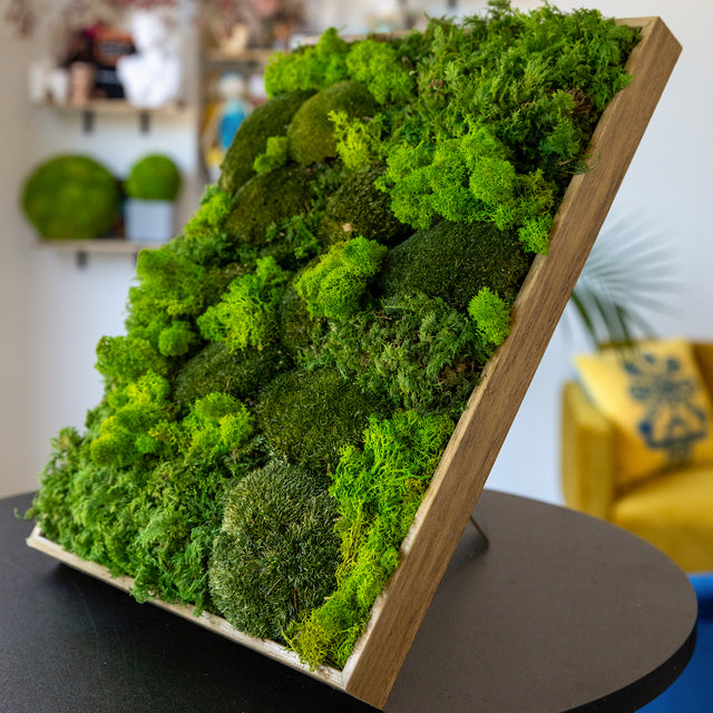 Everlasting Moss Picture 12x16
