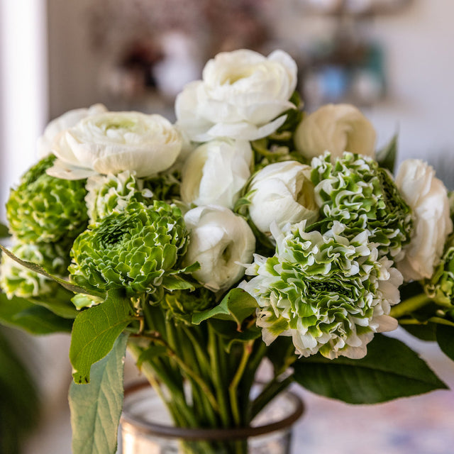 Ranunculus Rhapsody
