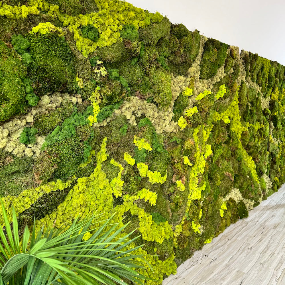 Large Walls to Small Frames