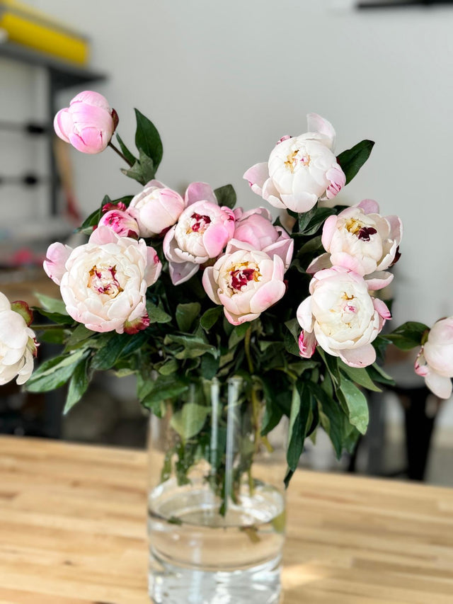 Why a Peonies Gift Is the Perfect Idea: Symbolism and Beauty for Special Occasions