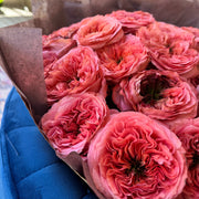 Close-up of coral roses with large, fluffy heads and dark green centers, wrapped in tissue paper.