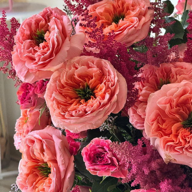 Oversized Grand Amour arrangement with premium roses, astilbe, and hanging amaranthus.