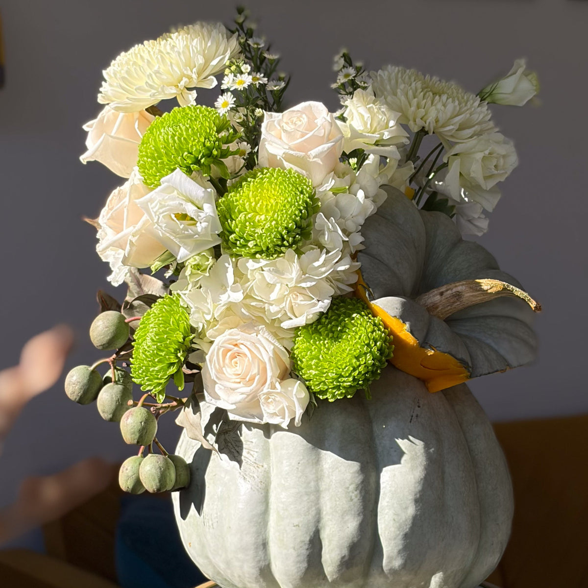 Ivory Autumn pumpkin arrangement with ivory roses, white hydrangeas, chrysanthemums, and green button mums