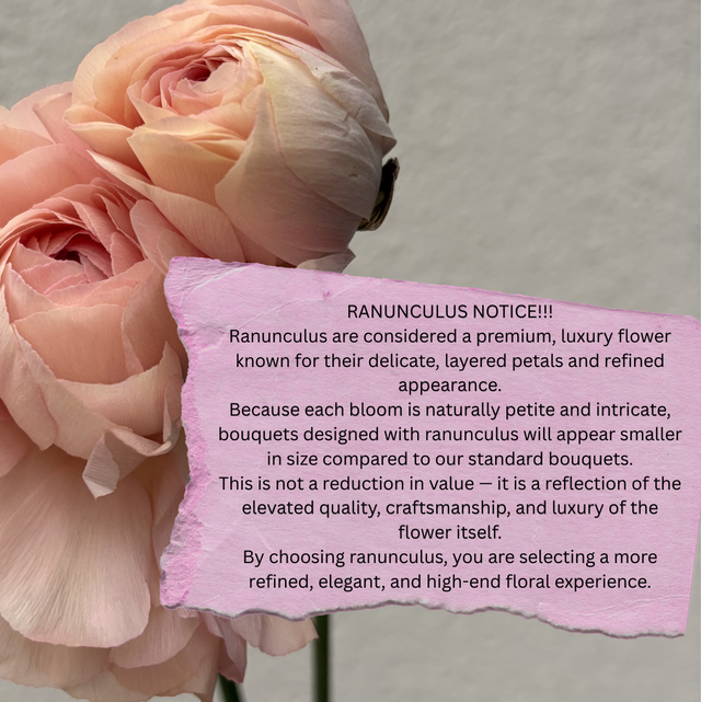 Ranunculus Rhapsody