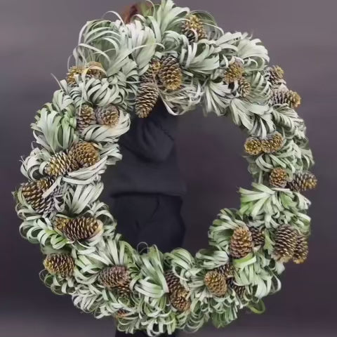 Large 35-inch holiday wreath made from palm leaves and golden pinecones with snowy accents.