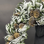 Detail shot of palm leaves and gold-accented pinecones in a winter Christmas wreath