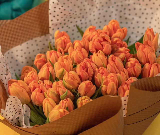 Bouquet of bright tulips